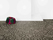 Create | Bolon