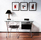 Albini Collection | Knoll International