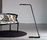 Colibri | martinelli luce