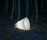 Trilly | martinelli luce