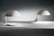 Cobra | martinelli luce