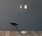 Acorn | Atelier Areti