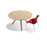 Disq | Montis