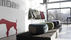 Edam | Montis