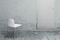 Holm | Desalto