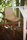 Broom | emeco