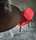 York | Minotti