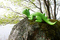 Dino | Studio Eero Aarnio