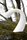 Swan Table lamp | Studio Eero Aarnio