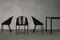 Palio | Plank