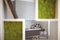 Modò Form Library | Verde Profilo