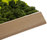 Moss painting | Verde Profilo