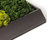 Moss painting | Verde Profilo