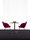 Sport | Game | Arena | Johanson Design