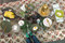 Seasons | Covo