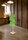 Newspaper Tree | IDM Coupechoux