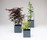 Skyline Planters | Phase Design