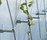 GREENCABLE | Carl Stahl