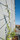 GREENCABLE | Carl Stahl