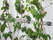 GREENCABLE | Carl Stahl