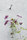 GREENCABLE | Carl Stahl