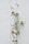 GREENCABLE | Carl Stahl