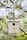 Twitter Nesting Box | keilbach