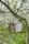 Twitter Nesting Box | keilbach