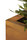 Thallo | FLORA