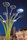 Solar Tree | Artemide Outdoor