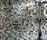 Cromie 20x20 | Mosaico+