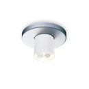 Shy Cup Ceiling Tobias Grau