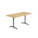 horgenglarus Delta t–1670 Conférence / Réunion Homeoffice Tables