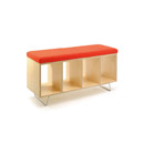 Bench Box w/pad on Legs Offi