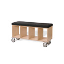 Bench Box w/pad on Casters Offi