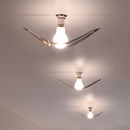 Absolut Lighting lampshade Ceiling light Ceiling-mounted lights