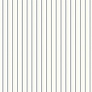 Fine Stripe wallpaper Kuboaa Ltd. wallpaper
