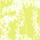 Wistaria wallpaper Kuboaa Ltd. wallpaper