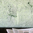 Surfacematerialdesign Wall Treatments Papiers peint