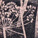 Cole and Son Cow Parsley 66-7048 wallpaper Wallcoverings / Wallpaper