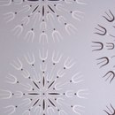 Cole and Son Fioretti 69-1102 wallpaper Wallcoverings / Wallpaper