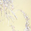 Cole and Son Wild Flowers 69-11143 wallpaper Papeles pintados