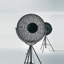 Fortuny Ornaments Pallucco