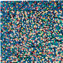 Driade La Fontaine carpet Carpets / Rugs