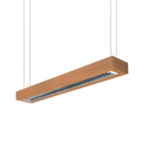 Dark d-Beef Pendant lights Strip lights
