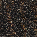 Fogg Stripe Black-Ochre 3-4 Kasthall