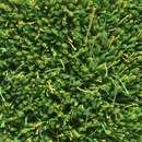 Kasthall Moss Green 11 Carpets / Rugs