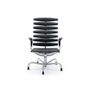 de Sede DS 2100 Büro- / Objektsitzmöbel Büro: Besucherstühle Büromöbel / Arbeitsplätze Konferenz / Seminar / Besprechung Konferenz: Stühle / Sessel