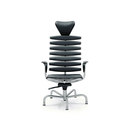 de Sede DS 2100 Büro: Direktionsdrehstühle Büro: Managementdrehstühle Büromöbel / Arbeitsplätze