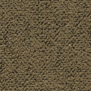 Coral 340 Kvadrat